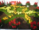 DSCN4401.JPG