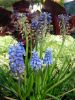 DSCN4410.JPG