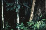 lostworld3_l.jpe