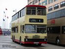 s3bl303-1.jpg